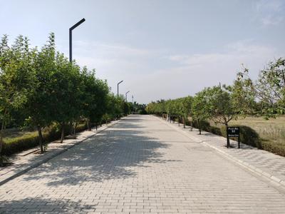 Image of 150 Sq.ft Residential Plot / Land for sale in Mansha Oaks, Sector 98, Faridabad for Rs. 15200000