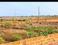 Patrapada Plot View 2