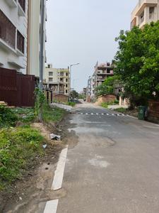 Action Area 2 Plot View 1