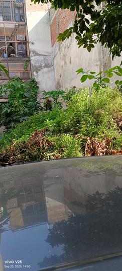 GDA Ghaziabad Ravi Apartment Main Image 1