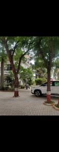 Image of 5166 Sq.ft 3 BHK Independent House for sale in Adalaj, Gandhinagar for Rs. 55000000