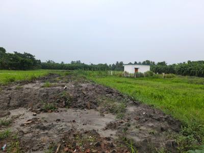 Bhasa Eco Village Plot View 2