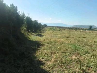 Image of 1053 Sq.ft Residential Plot / Land for sale in Chirag Chandigarh Hills, Sector 123, Mohali for Rs. 5616000