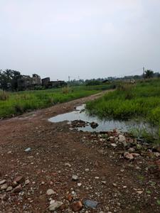 Wander Valley Internal Roads 1