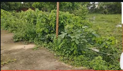Image of 2800 Sq.ft Residential Plot / Land for sale in Uslapur, Bilaspur for Rs. 7840000