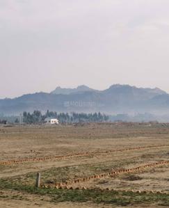 Shkumabri Township project Plot View 2