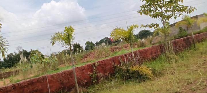 Patrapada Main Image 1