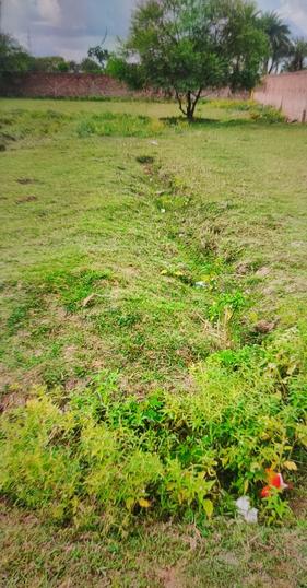 New Town Action Area 1, New Town Main Image 1