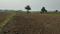 Beldari Chak Plot View 2