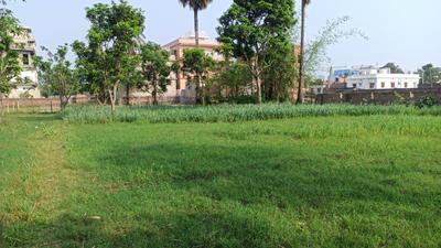 Image of 3174 Sq.ft Residential Plot / Land for sale in Khazanchi Haat, Purnea for Rs. 4900000