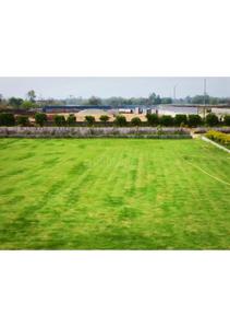 Image of 945 Sq.ft Residential Plot / Land for sale in Bihta, Patna for Rs. 1789000