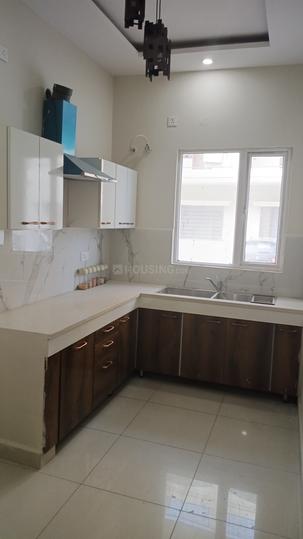 mustang city Main Image 1