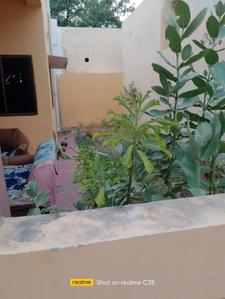 Balcony Image of 1290 Sq.ft 2 BHK Independent House for sale in Mopka Bilaspur for Rs. 4750000