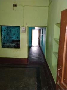 Bedroom Image of 800 Sq.ft 3 BHK Independent House for rent in Sarkanda Bilaspur for Rs. 8000