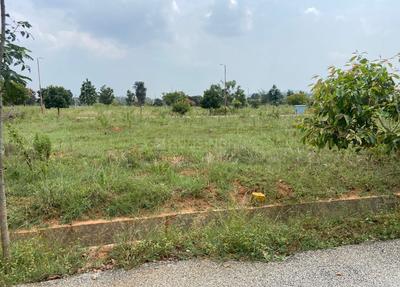 Telecom Greenfield Plot View 1