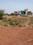 Risali Sector Main Image 1