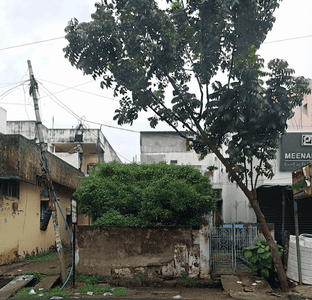 Image of 1320 Sq.ft 2 BHK Independent House for sale in Meher Nager, Srikakulam for Rs. 23000000
