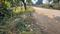 Vaikuth dham Plot View 2