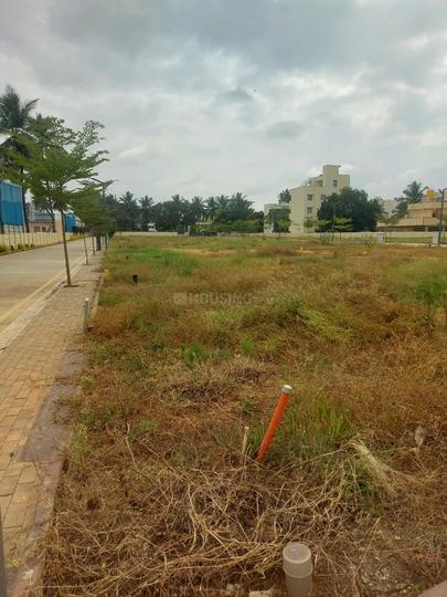 Erayaa shiva Nandi orchids Main Image 1