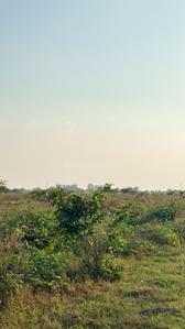 Image of 310 Sq.ft Residential Plot / Land for sale in Cosmic The Urban Young, Sector 25 YEIDA, Greater Noida for Rs. 23250000