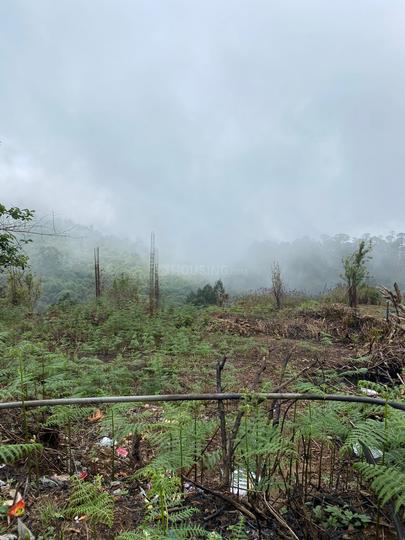 Shenbaganur Main Image 1