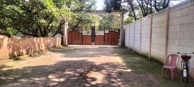 shivganga mangotree farmhouse Plot View 2