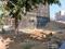 Basai Plot View 2