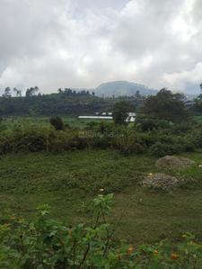 Image of 2160 Sq.ft Residential Plot / Land for sale in Naukuchitatal, Nainital for Rs. 3000000