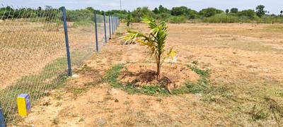Image of 11104 Sq.ft Residential Plot / Land for sale in Sooriyur, Tiruchirappalli for Rs. 1765377