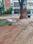 Pragathi Nagar Plot View 2