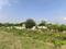 Sector 86 Main Image 1
