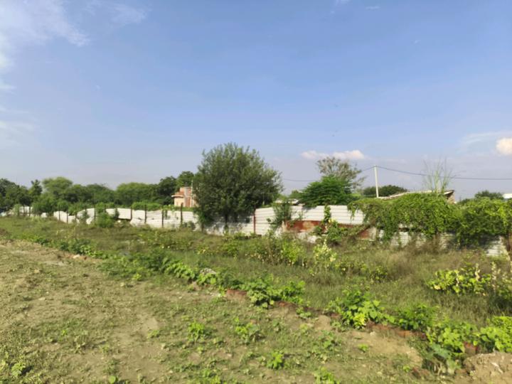Sector 86 Main Image 1