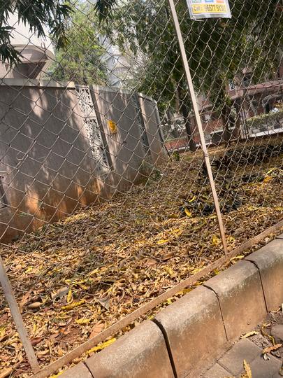 Lokmanya Colony Main Image 1