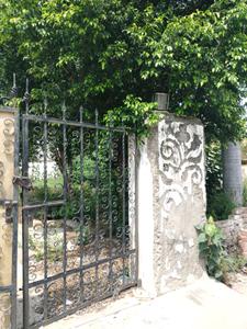 Image of 1440 Sq.ft Residential Plot / Land for sale in Sector 16, Faridabad for Rs. 34500000