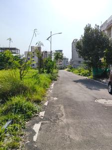 Action Area 2 Plot View 2