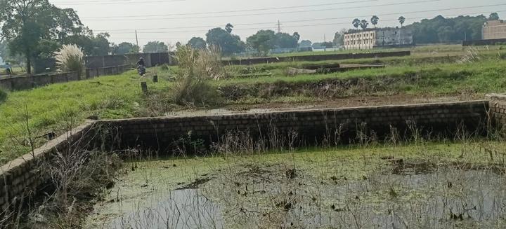 Karmali Chowk, Begampur Main Image 1