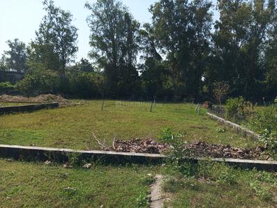 Image of 3000 Sq.ft Residential Plot / Land for sale in Nawabganj, Barabanki for Rs. 3840000