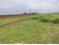 Shree Ram Plot View 2