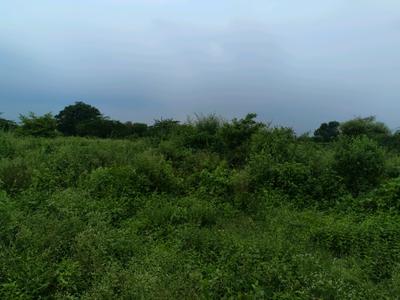 Image of 120 Sq.ft Residential Plot / Land for sale in Sector 34 Rohini, New Delhi for Rs. 30000000