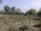 Rohini Sector 28 Plot View 2