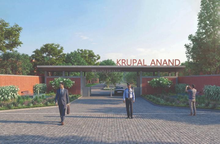 Krupal Anand Main Image 1