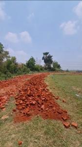 Bihta Plot View 2