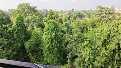 Image of 1717 Sq.ft 3 BHK Apartment / Flat for sale in Butler Colony, Lucknow for Rs. 14000000