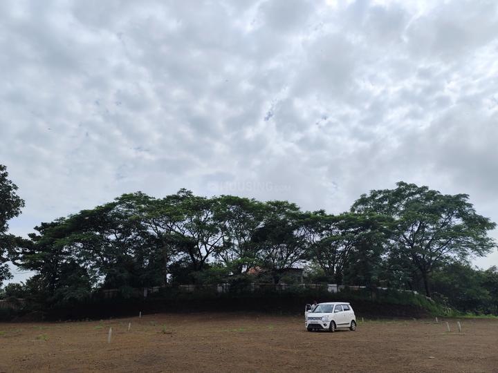 Neral Plot View 1