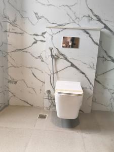 Common Bathroom Image of 2250 Sq.ft 4 BHK Builder Floor for sale in Sector 52 Gurgaon for Rs. 34500000