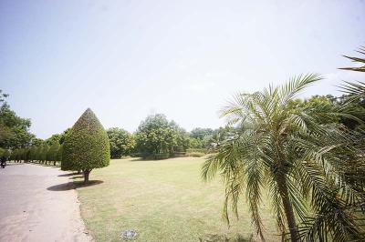 Image of 2323 Sq.ft Residential Plot / Land for sale in Kolat, Ahmedabad for Rs. 80000000