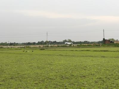 Image of 43560 Sq.ft Residential Plot / Land for sale in Bhagatpur, Cuttack for Rs. 850000