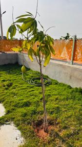 Image of 1800 Sq.ft Residential Plot / Land for sale in Vikarabad Town, Vikarabad for Rs. 2100000