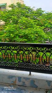 Balcony Image of 1100 Sq.ft 3 BHK Apartment / Flat for sale in Baliaghata Kolkata for Rs. 3900000