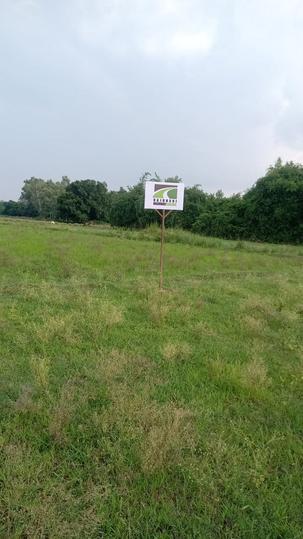 Gosainganj Main Image 1